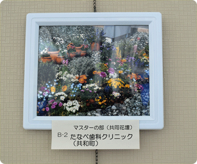 花壇の写真