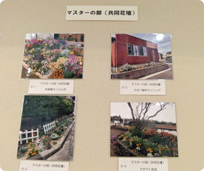 花壇の写真